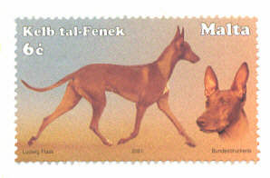 Kelb tal-Fenek - Stamp from Malta